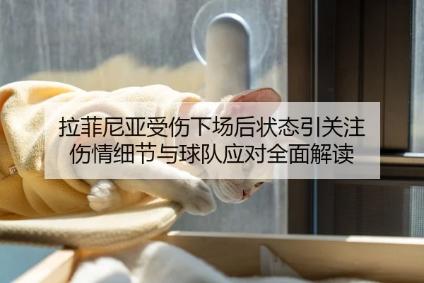 拉菲尼亚受伤下场后状态引关注 伤情细节与球队应对全面解读