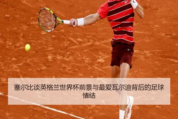 塞尔比谈英格兰世界杯前景与最爱瓦尔迪背后的足球情结